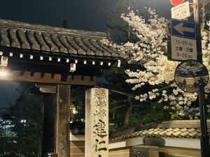 Sakura Beauty In Kyoto 円山公園＆建仁寺